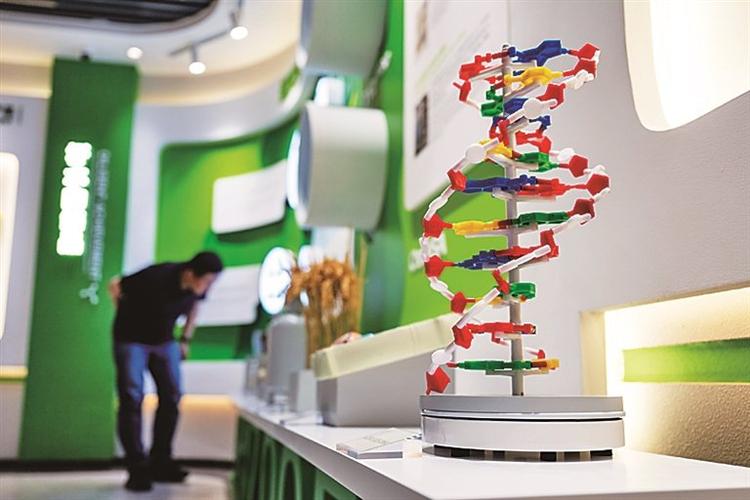 湖北武汉一家生物科技公司展厅内的dna模型.新华社发